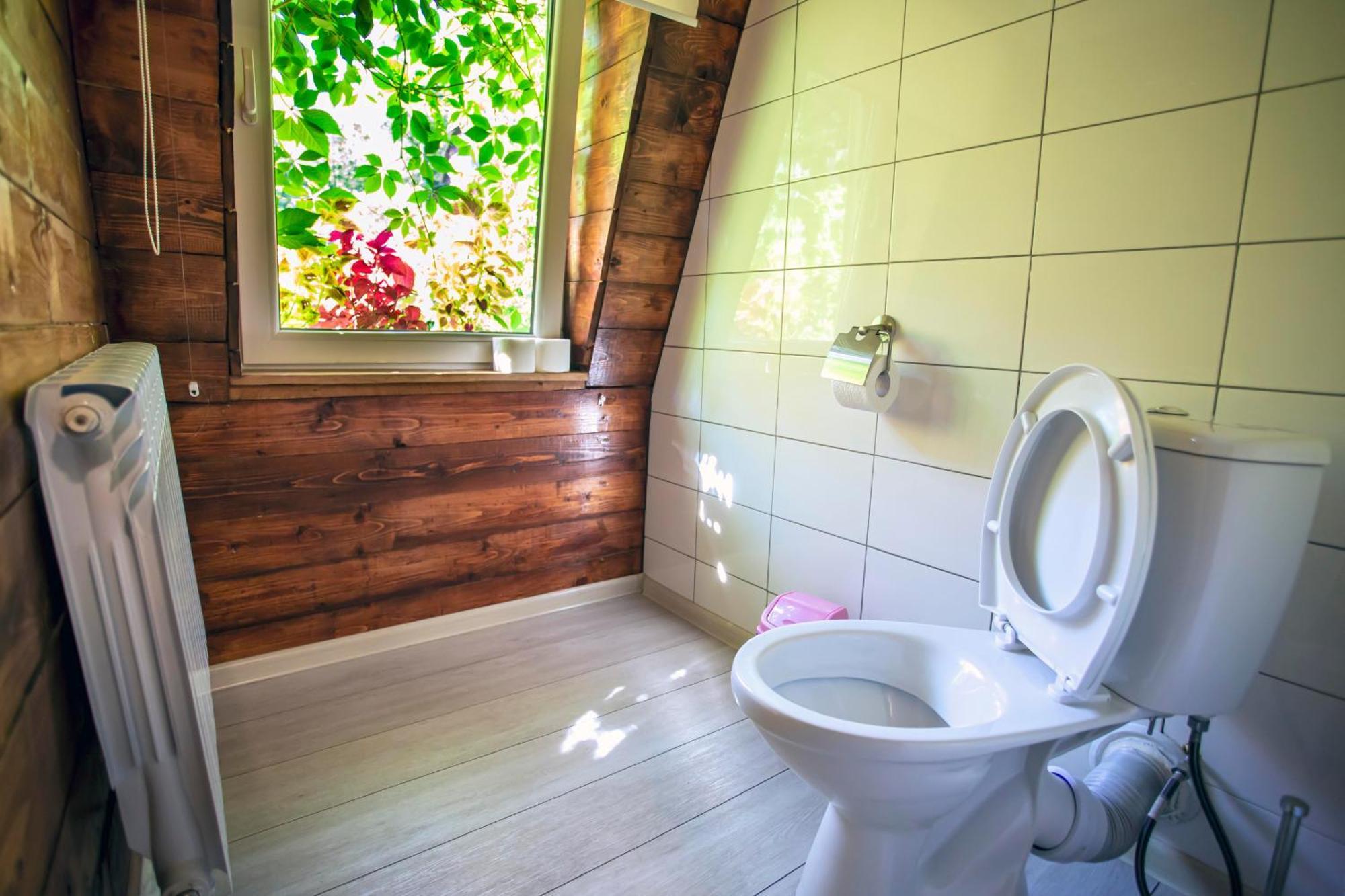 Salo I Mandry Apartment Rakhiv Ngoại thất bức ảnh